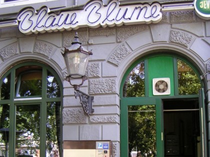 照片: Blaue Blume